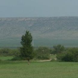 McCamey Country Club