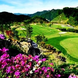 Lee N Lee Country Club