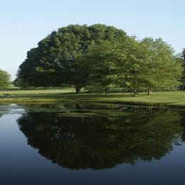 Skyland Pines Golf Course