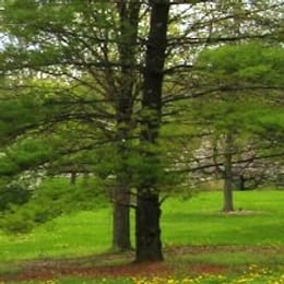 Green Hills Golf Course