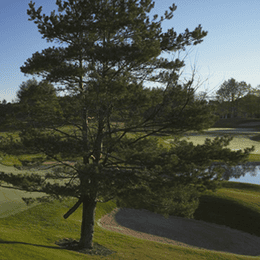 The Medalist Golf Club