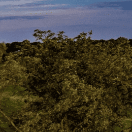 Meadowbrook Country Club