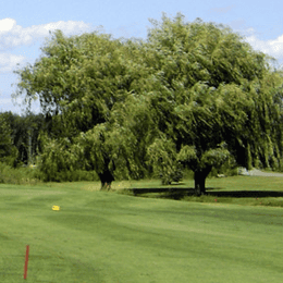 Chisago Lakes Golf Course