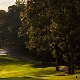 Ford's Colony Country Club (Blue Heron)