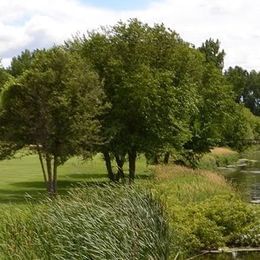 Centerbrook Golf Course
