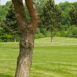 Golf Blue Green Saint-Aubin (Les Bouleaux)