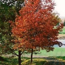Manitou Ridge Golf Course