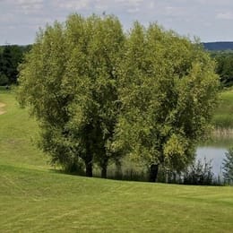 Golf Hôtel Mont Griffon (Arbalétrier)