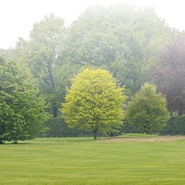 Golf de Thumeries-Moncheaux