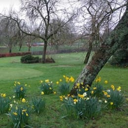 Central Park Plymouth Pitch & Putt