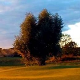 Pole Golfowe Zawarcie