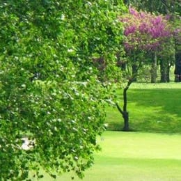 Golf du Parc du Tremblay