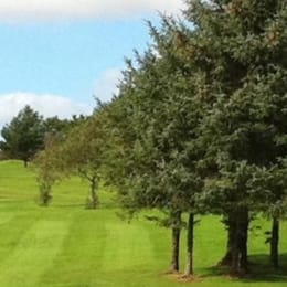Ivybridge Golf Club - McCaulay's Dinnaton Golf Club