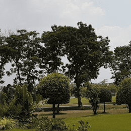 Royal Thai Air Force Dhupatemiya - Thupatemi Golf Course