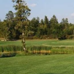 Black Bear Golf Complex