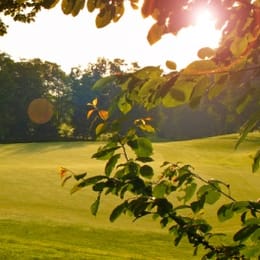 Golf Blue Green Avrillé