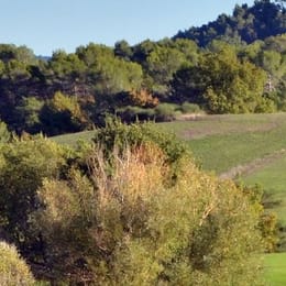 Golf du Luberon