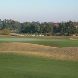 Golf d'Etiolles (Les Chênes)