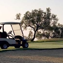 Golf Citrus (Executive)