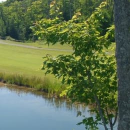 Wild Bluff Golf Course