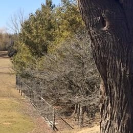 MontHill Golf & Country Club