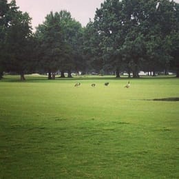 Fox Meadows Golf Course