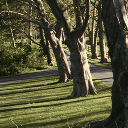 Bidermann Golf Course