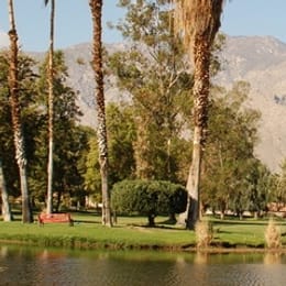 Bel Air Greens (Tommy Jacob's)