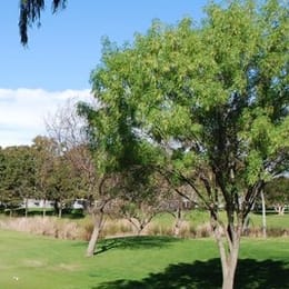 Bixby Village Golf Course
