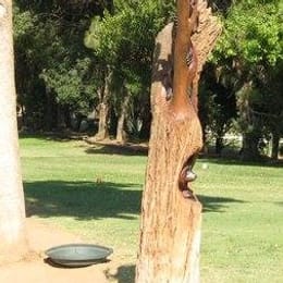 Hank’s Swank Par 3 Golf Course