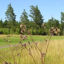 Alvesta Golfklubb