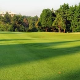 Forest Mizunami Country Club