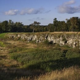 Country Club of Buffalo