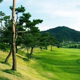 BA Vista Country Club