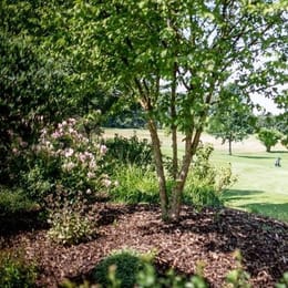 Golfclub Sinsheim Buchenauerhof (Kurzplatz)