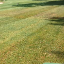 Muskoka Woodlands Golf Course