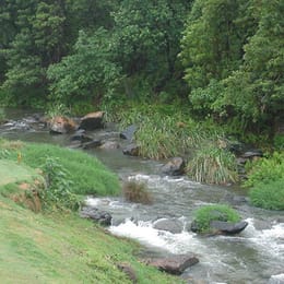 Fairview Hotel And Village Golf Course