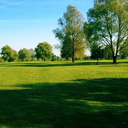 Golf de Madine (Le Héron)