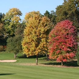 Riverside Golf Club & Banquet Center