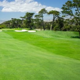 The Olympic Club (Lake)