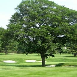 Madison Golf Club