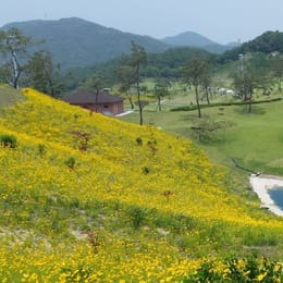 Yeoju Sun Valley Country Club