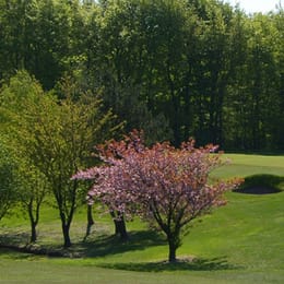 Garesfield Golf Club
