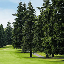 Riverside Golf & Country Club