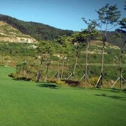 Maron New Day Country Club