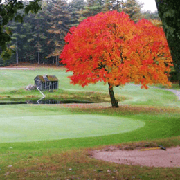 Pine Valley Golf Links