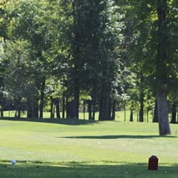 The Meadows Golf & Country Club