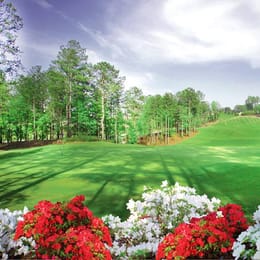 Governors Towne Club