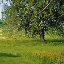 Marshes Golf Club (Marchwood)