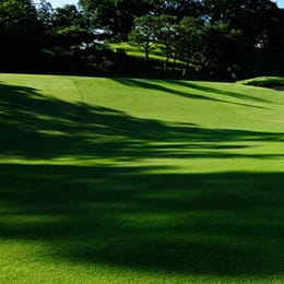 Kawasaki Kokusai Ikuta Ryokuchi Golf Course